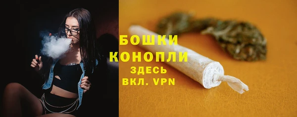 стаф Михайлов